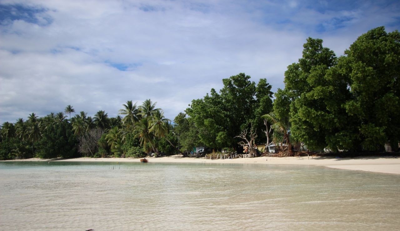 Photo of a low-lying beach in Tuvalu, backed by trees.