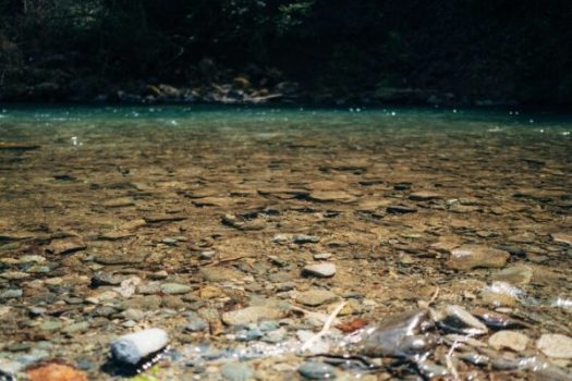 Photo of river shore with plastic litter in the water.