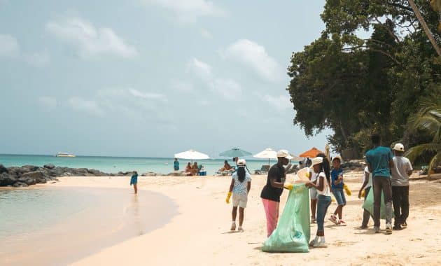 A sandy beach in Barbados. To the right of the photo, a line of palm trees overhangs the beech. In the foreground, children are picking up litter and putting it into large plastic waste sacks.