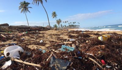 Plastic waste littering a beach, with palm trees, waves, and clear skies in the background.